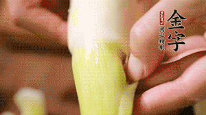 茭白剝?nèi)ネ鈿?，先切片再切絲。