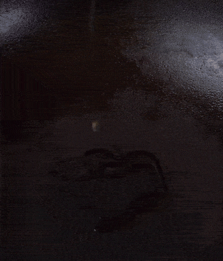 冷鍋熱油，下蒜片爆香，下香腸、玉米筍、蓮藕、西芹爆炒，期間加點水，翻炒1分鐘后加新鮮百合片，翻炒30秒。