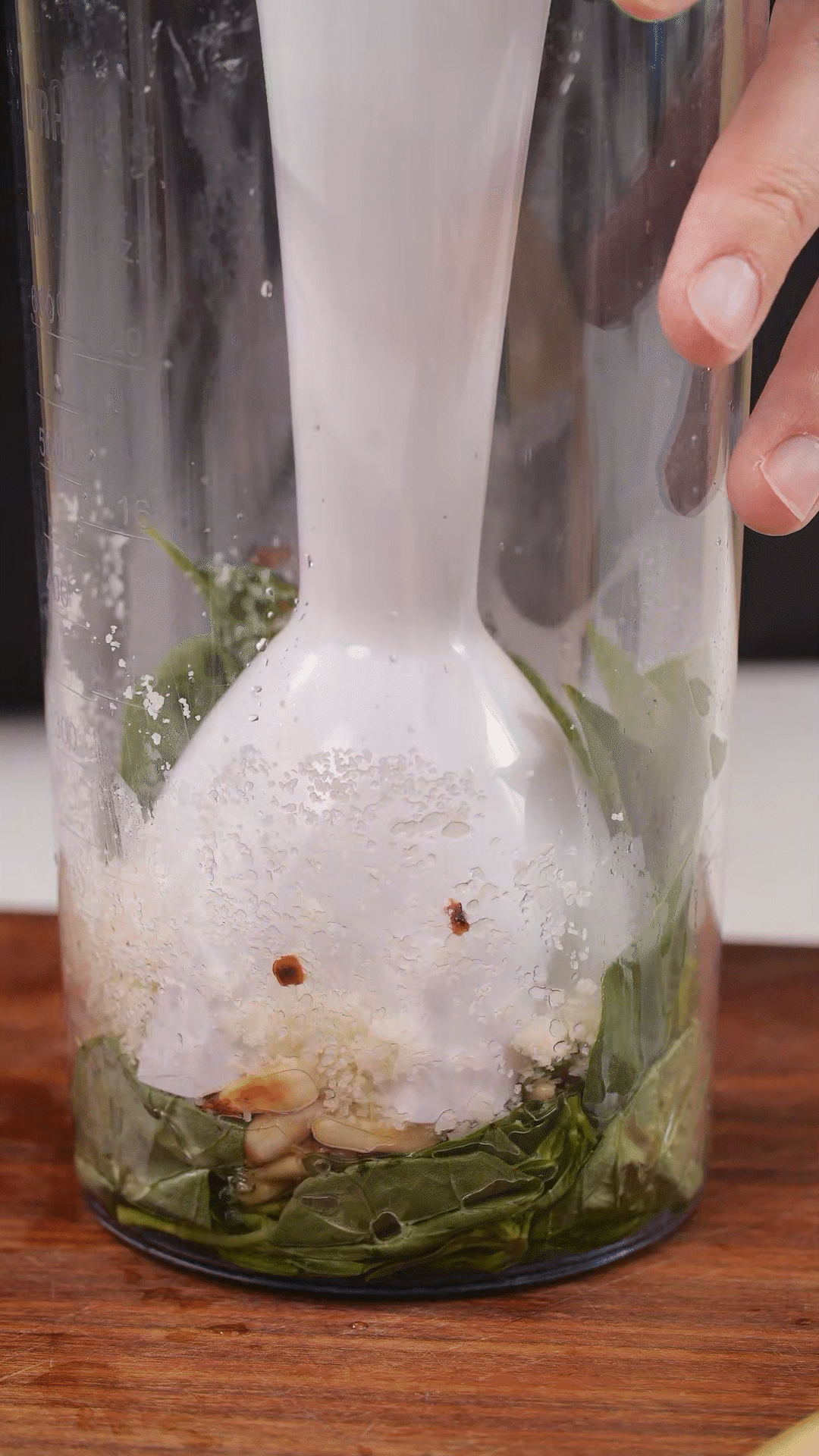 青醬制作：將羅勒去梗，只保留葉片，放入料理機
